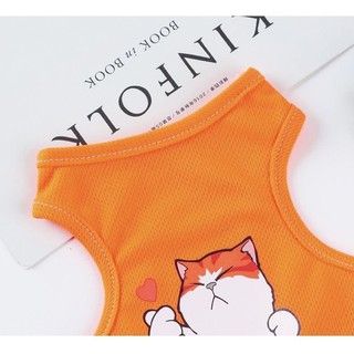 Áo thun phong cách nhiều mẫu nk033