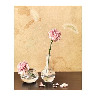 Bát thuỷ tinh thả hoa 8cm VILJESTARK IKEA