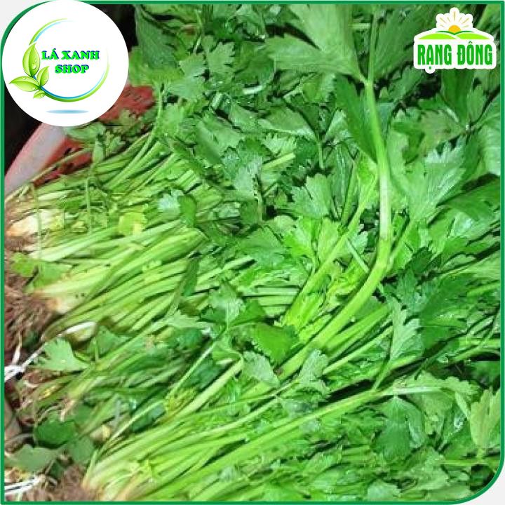 Hạt giống Rau Cần Tây Thera Chịu Nhiệt, Sinh Trưởng Tốt (gói 5 gram) - Hạt Giống Rạng Đông