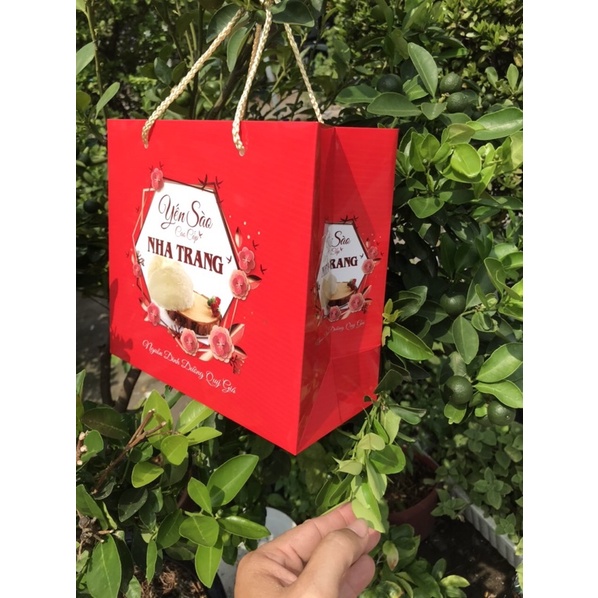 10 TÚI ĐỰNG YẾN SÀO NHA TRANG