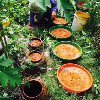 Cốt gừng nghệ hạt gấc hạ thổ 1lit