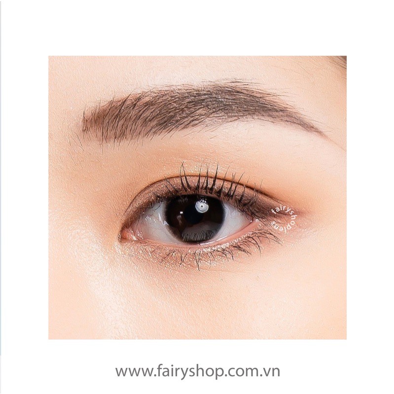 Áp Tròng Sugar Pearl Brown 14.0mm - Kính Áp Tròng FAIRY SHOP CONTACT LENS độ 0 đến 6