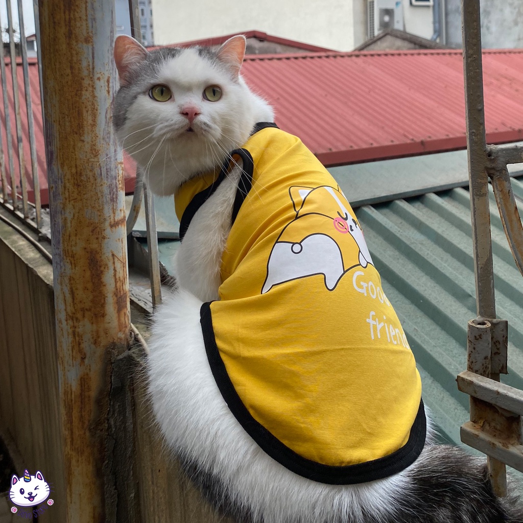 Áo cho chó mèo Diniopet quần áo cho chó mèo họa tiết dễ thương