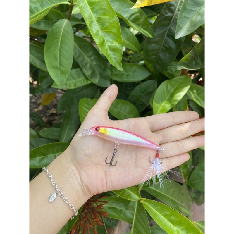 Mồi câu cá Chẽm, cá Mú, cá Ngão, cá Biển đuôi lông