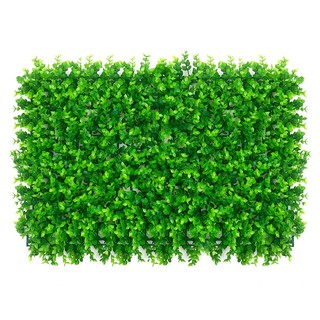 Thảm Cỏ Nhân Tạo Tai Chuột