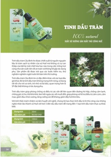 Tinh dầu tràm Cầu Bình An 100ml