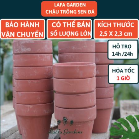 Chậu đất nung LAFA 1 cái, đặc biệt chuyên trồng cây sen đá