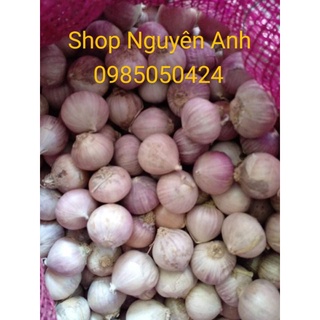 1kg tỏi cô đơn