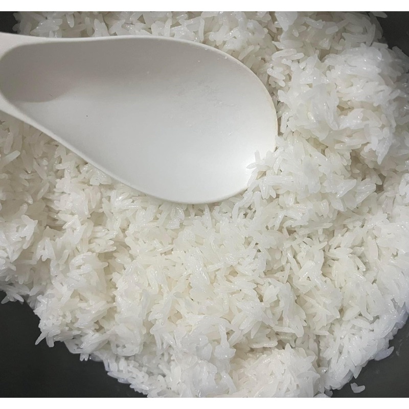 Bịch 10kg gạo ST25 đặc sản Sóc Trăng
