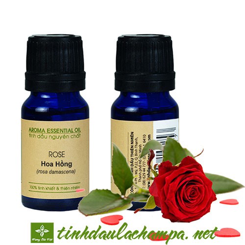 Tinh dầu Hoa Hồng Bulgary cao cấp, Rose Damask oil