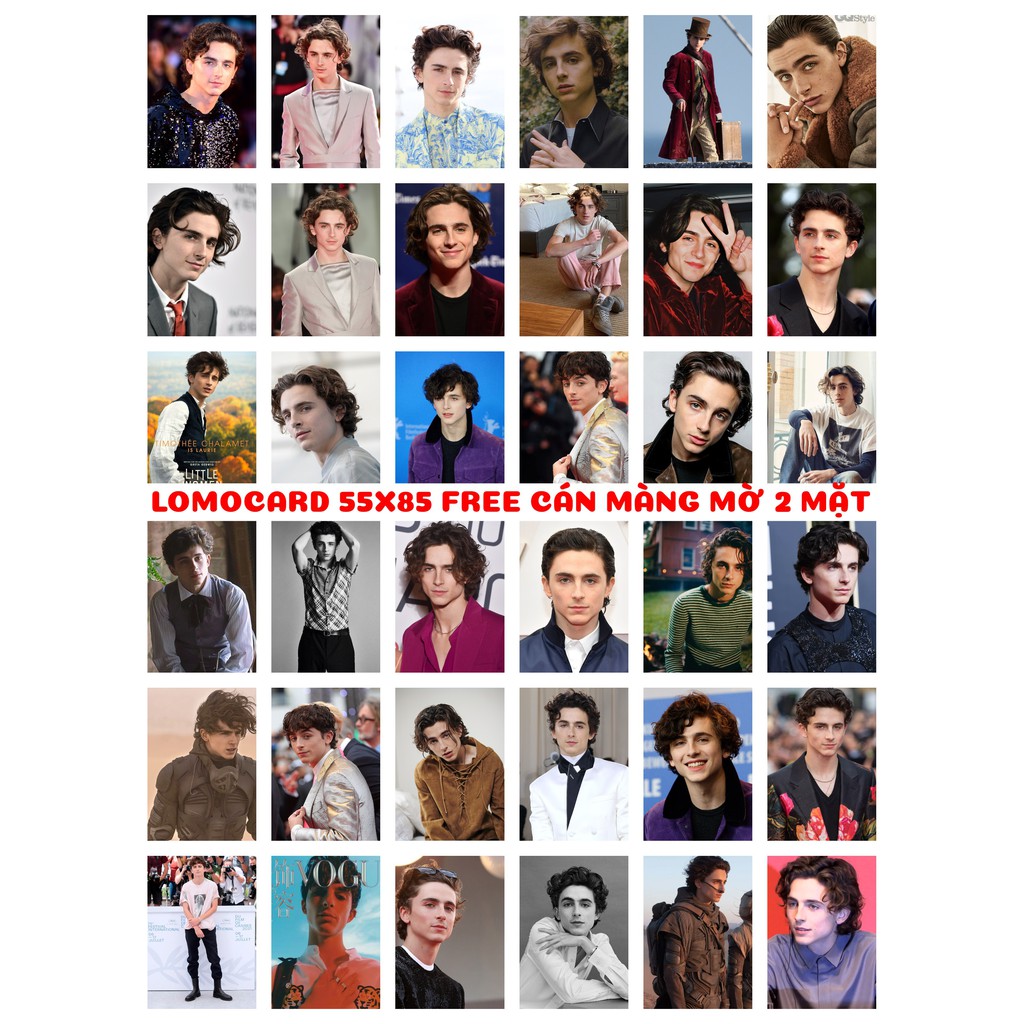 Lomo card 72 ảnh diễn viên Timothée Chalamet