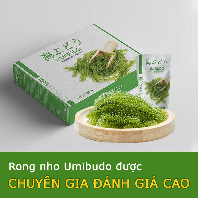 [NGOT10PTT][Rẻ Vô Địch] 1 gói Rong Nho Tách Nước Umibudo sản phẩm chính hãng siêu rẻ | BigBuy360 - bigbuy360.vn