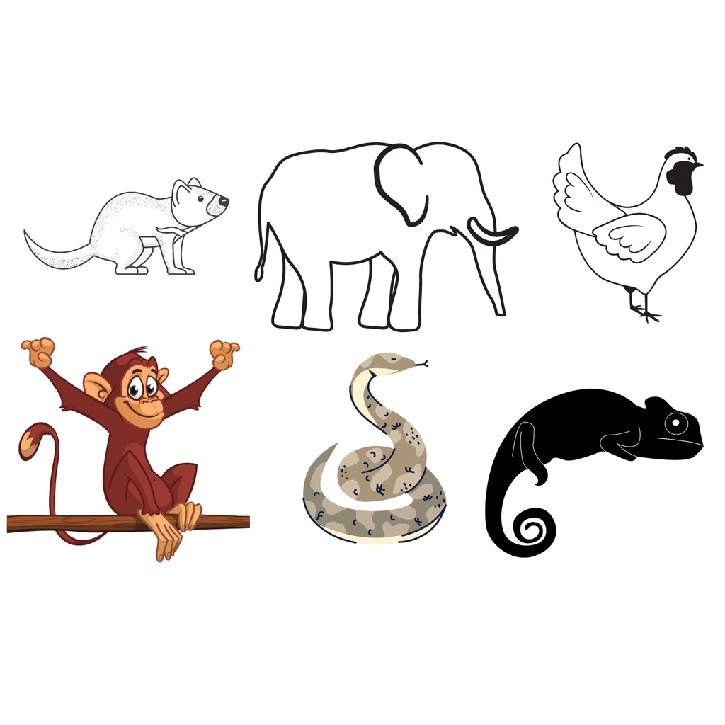 Bộ hình tăng thị giác Flash Card cho bé sơ sinh luyện mắt và giác quan trẻ màu đen trắng