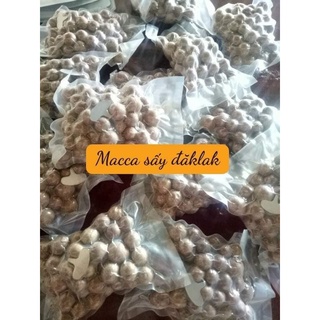 Hạt Macca nứt vỏ ĐắkLắk (kèm dụng cụ tách vỏ)