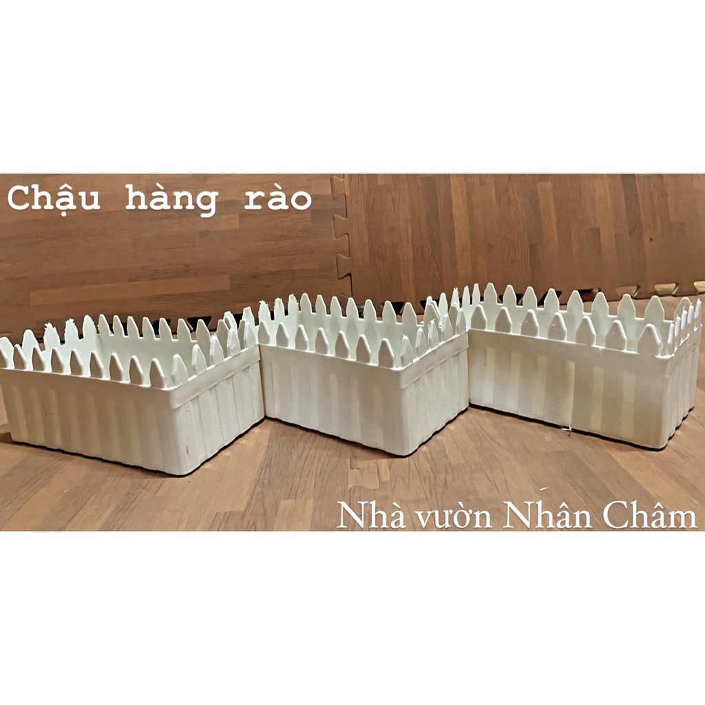 Chậu hàng rào trồng hoa, rau, trang trí nhà cửa