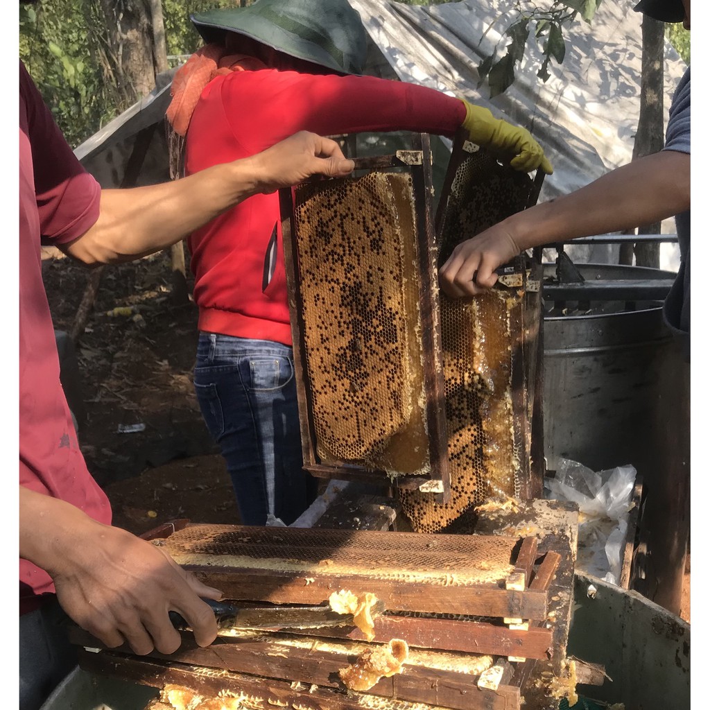 [,THỬ LÀ MÊ-100% ĐÁNH GIÁ 5 SAO] 1 LÍT mẬT ONG HOA CÀ PHÊ CAO C ẤP BÁ LỘC_ ĐẶC SẢN BUÔN MA THUỘT