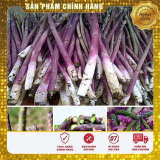 Hạt Giống Măng Tây Tím(10 hạt)