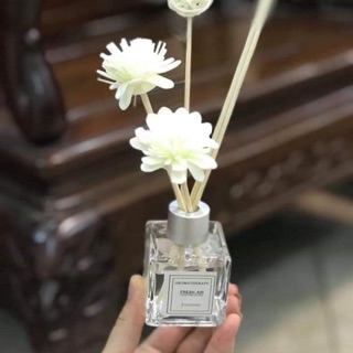 Combo 3 lọ dầu thơm và quần chip