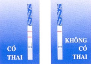 Que thử thai quick test
