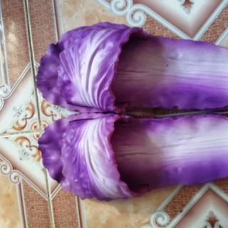Dép bắp cải nhựa dẻo