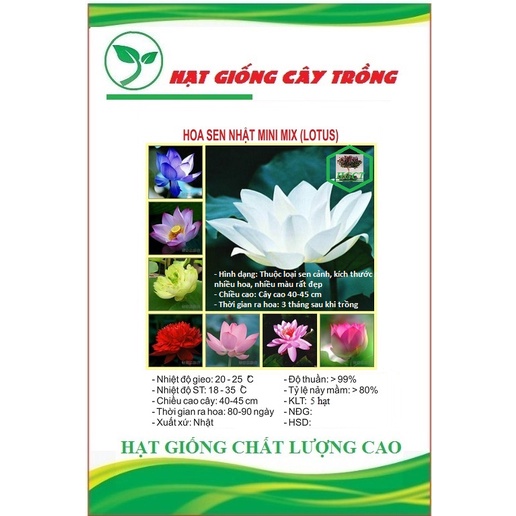 Hạt giống hoa sen mini nhật nhiều màu CT50 - Gói 5 hạt