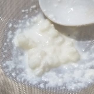 Nấm kefir