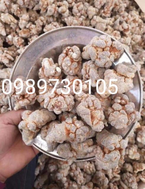 BỘT CỦ TAM THẤT BẮC 100G HÀNG 90 CỦ