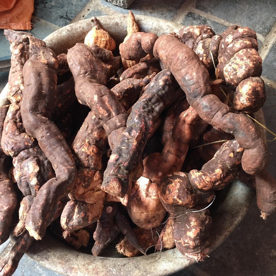 Hà Thủ Ô Tươi 2 kg