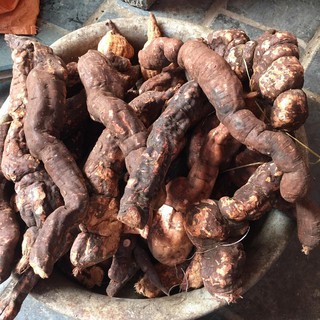 Hà Thủ Ô Tươi 2 kg