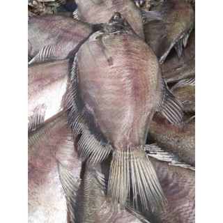 Khô cá sặc rằn