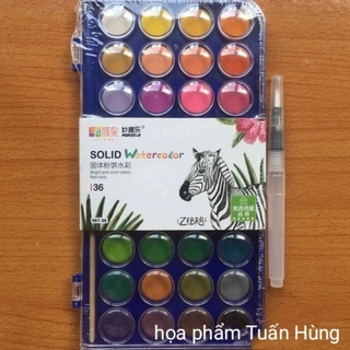 màu nước dạng nén 36 màu tặng kèm cọ nước