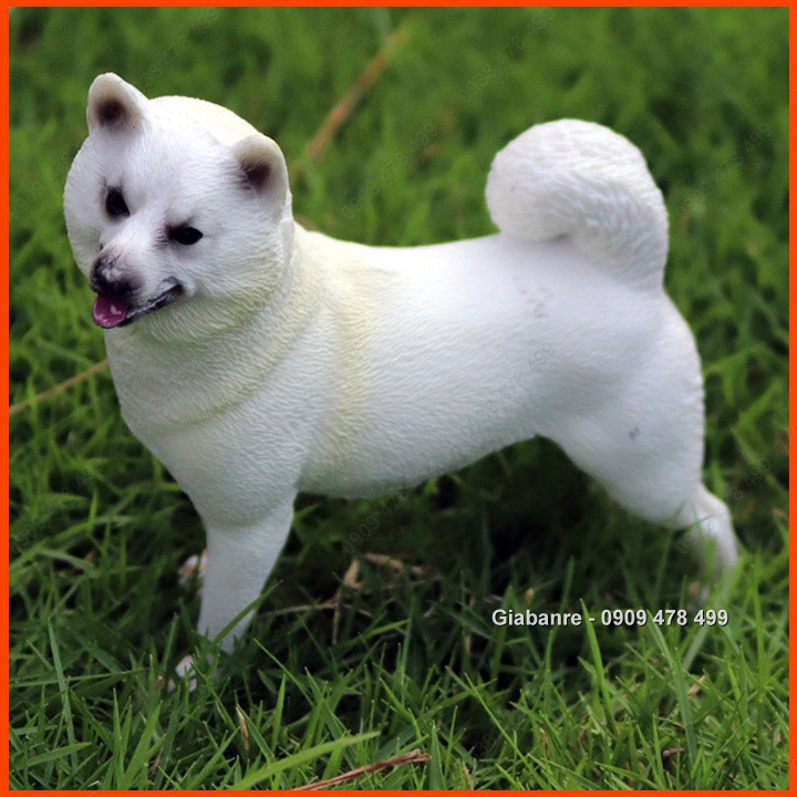 Mô Hình Chó Nhật Bản Shiba Inu Size Trung - 7664.9