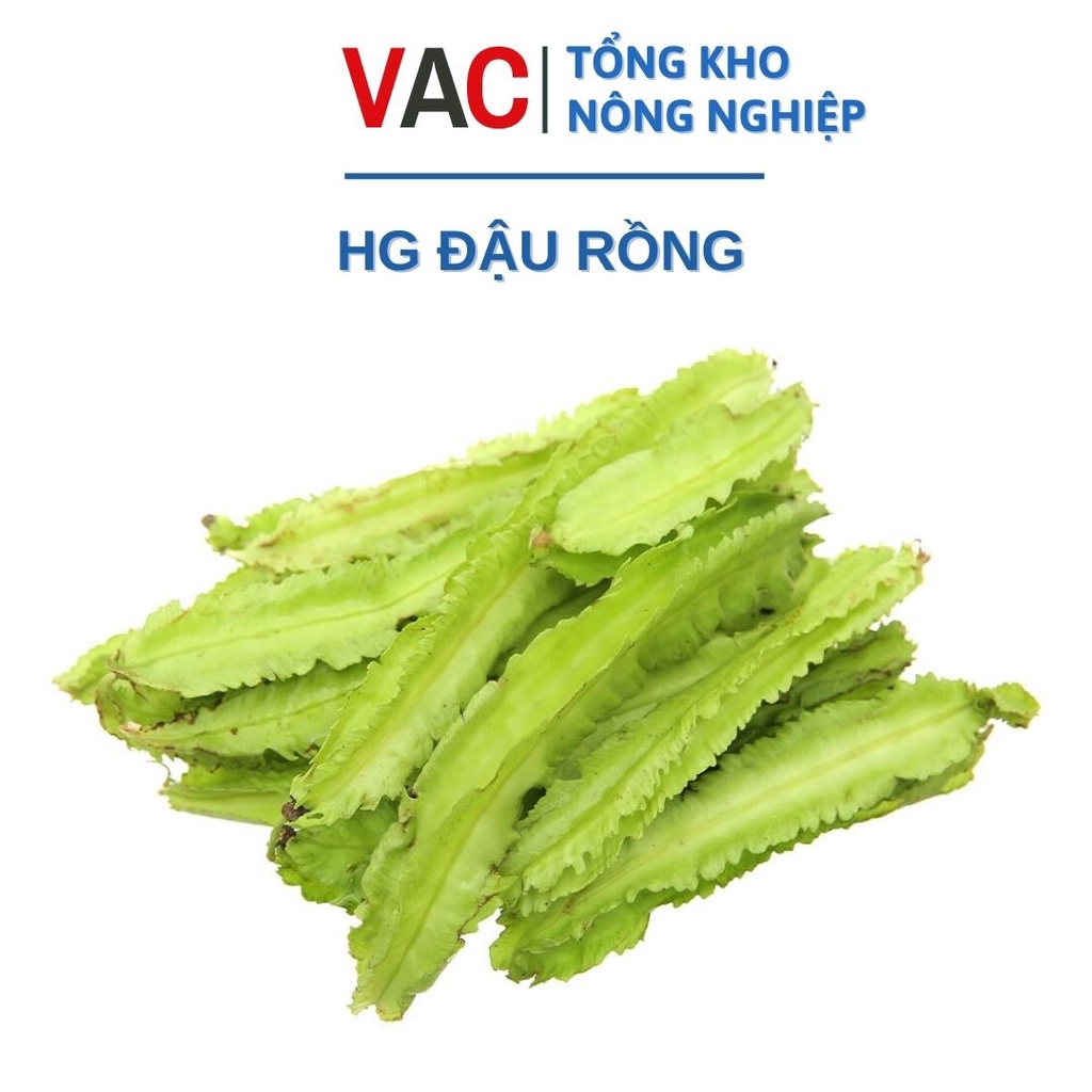 - Hạt giống Cây Đậu Rồng - Gói 10g