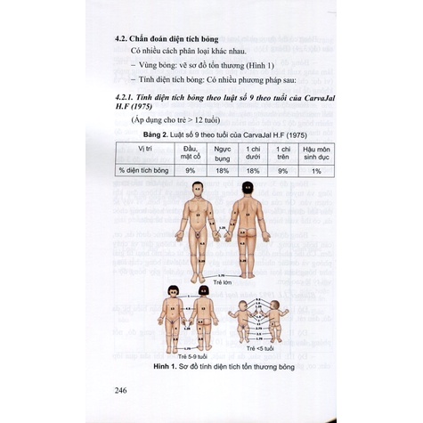 Sách - Cấp cứu hồi sức nhi khoa triệu chứng, chẩn đoán và điều trị tập 2