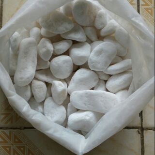 1KG ĐÁ SỎI TRẮNG VIÊN LỚN DÙNG TRONG TRANG TRÍ CHẬU CÂY,LỌ HOA,HỒ CÁ,CHƠI TIỂU CẢNH...