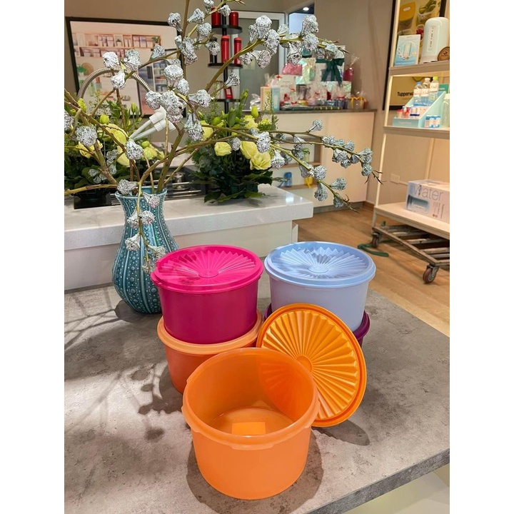 Hộp bảo quản Tupperware 💕Freeship💕 Hộp Đa năng trữ mát , trữ khô Midi Deco