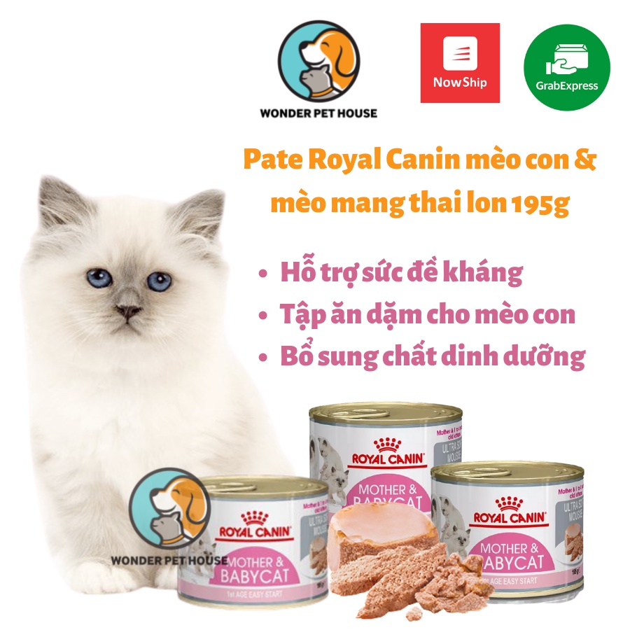 Pate lon 195g Royal Canin Mother and Baby Cat cho mèo con và mèo mẹ mang thai