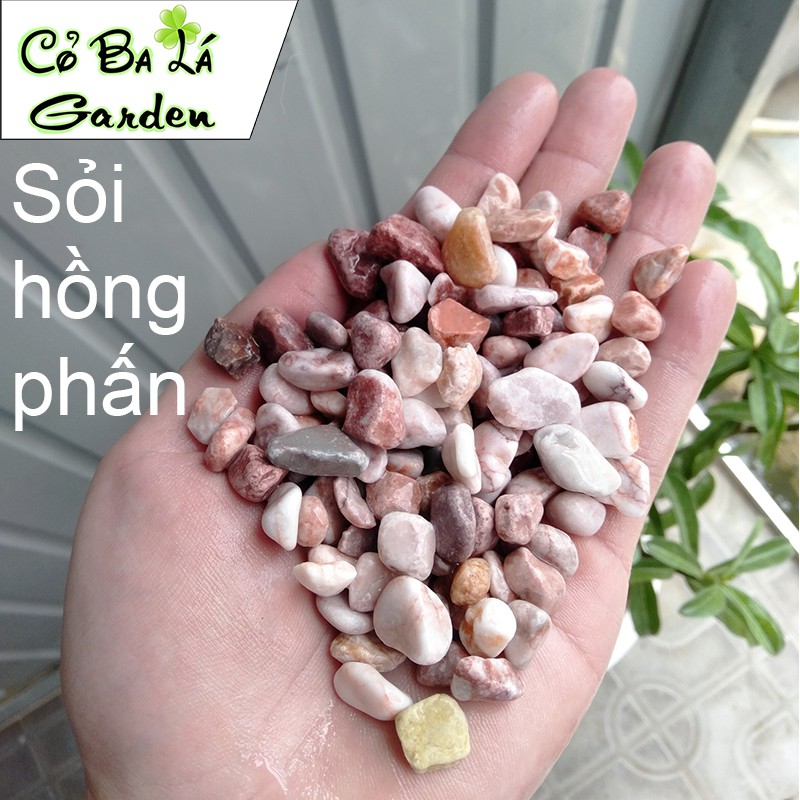 Sỏi Suối 500gr trang trí chậu cây,lót bể cá,phụ kiện trang trí