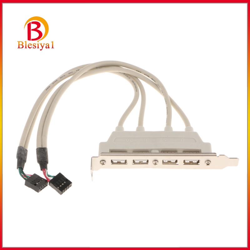 Dây Cáp Chuyển Đổi Cổng Usb 2.0 Sang 4 Cổng Usb Cho Bo Mạch Chủ