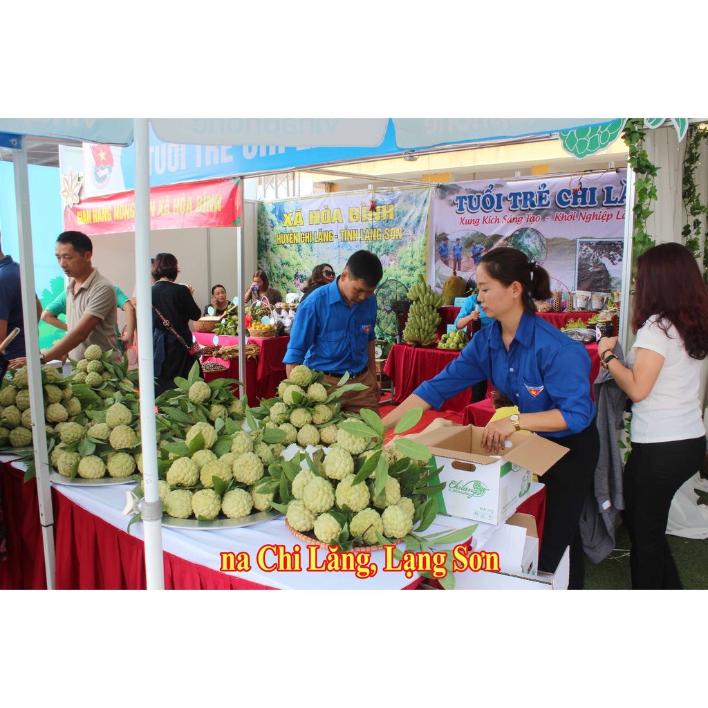 Na Chi Lăng Lạng Sơn 2023 Việt Nam 10-30kg
