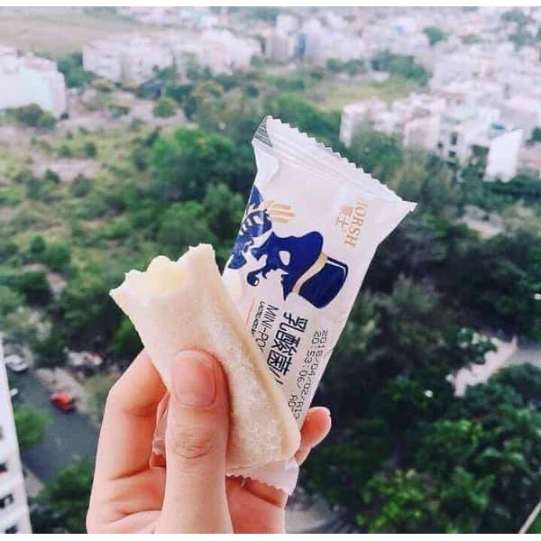 Bánh sữa chua tự chọn vị truyền thống/ phomai/ sầu riêng/ cam/ ice cream