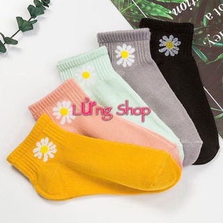 Combo 2 đôi tất nữ hoa cúc