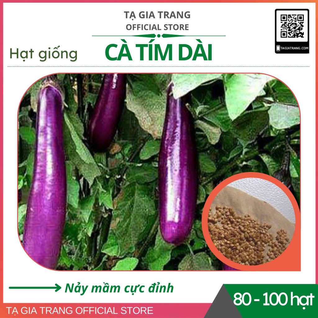 Hạt giống cà tím dài ruột xanh (cà nâu cơm xanh)