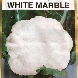 Hạt giống súp lơ f1 white marble sakata