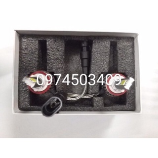 Bóng đèn led C6 H8/H9/H11