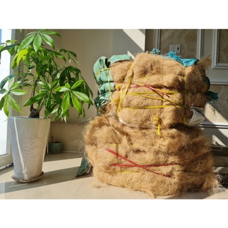 Kiện Chỉ Xơ Dừa Dạng Thô Xuất Khẩu