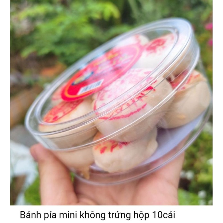 Bánh pía mini Phan Tâm hộp 10 cái