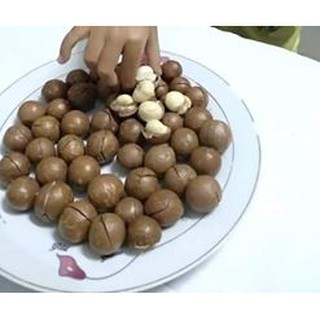 Hat mắc ca nguyên vỏ