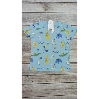 Áo cộc tay bé trai cotton HM