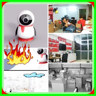 camera chim cánh cụt N520